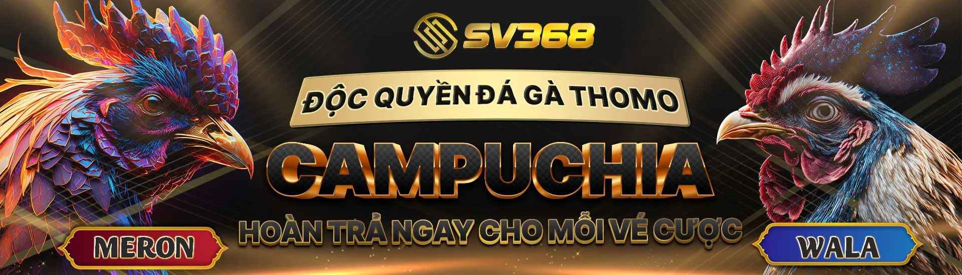 độc quyền đá gà thomo